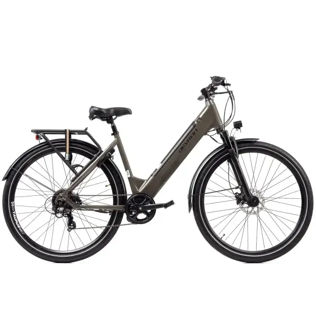 E-bike 