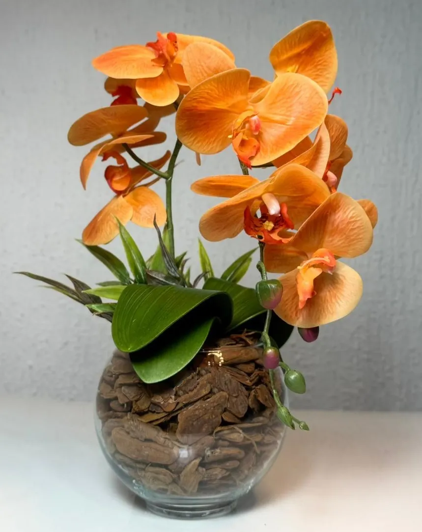 Orquidea laranja em vaso de vidro transparente