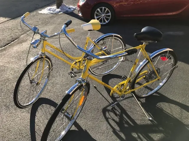 Schwinn His & Hers 5-Speed Collegiant Bicycles (Rented as a Pair)