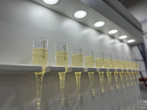 Champagne Wall with Lighting