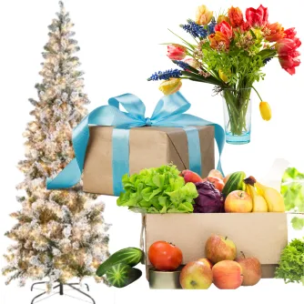 Concierge & Services