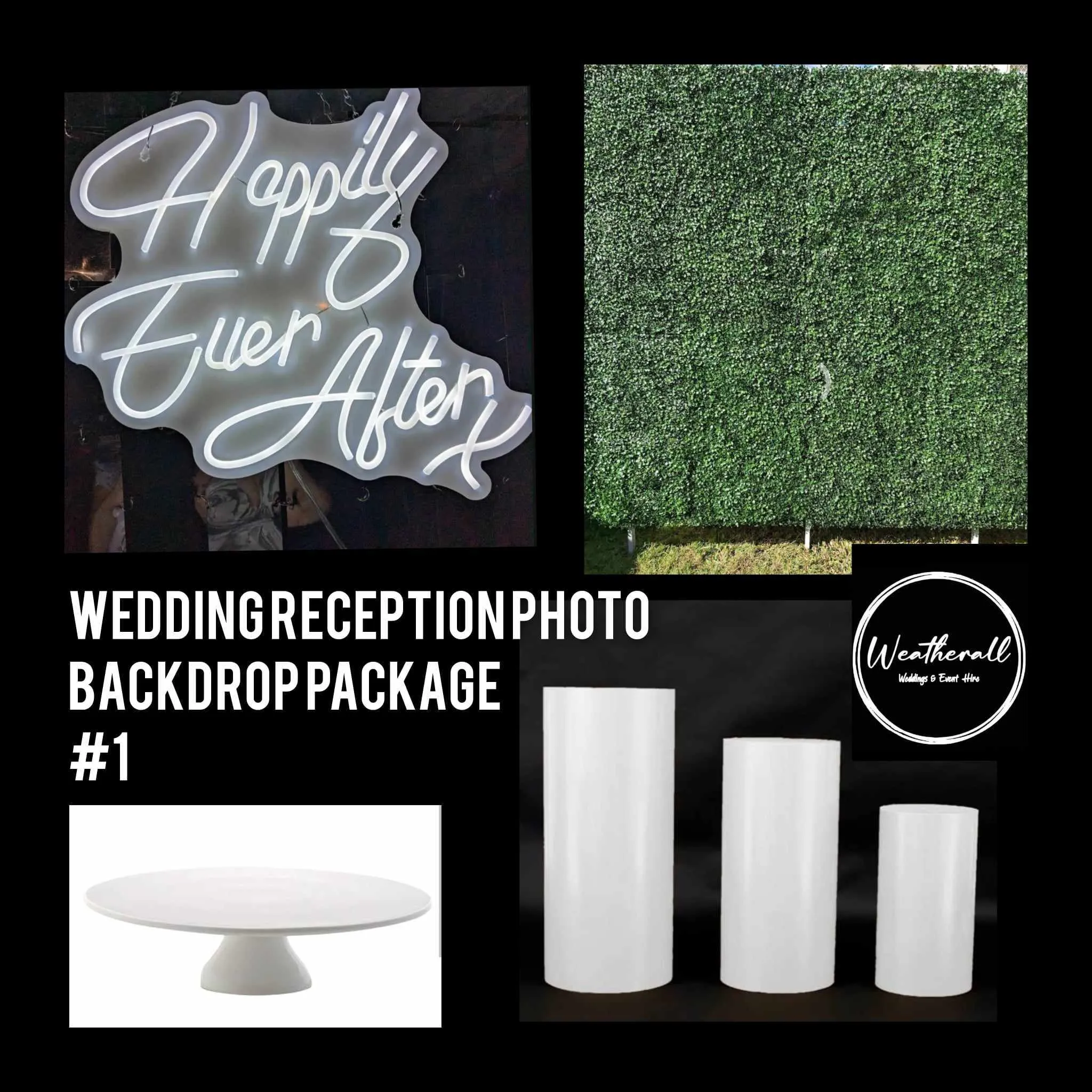 Wedding Reception Photo Backdrop Package #1