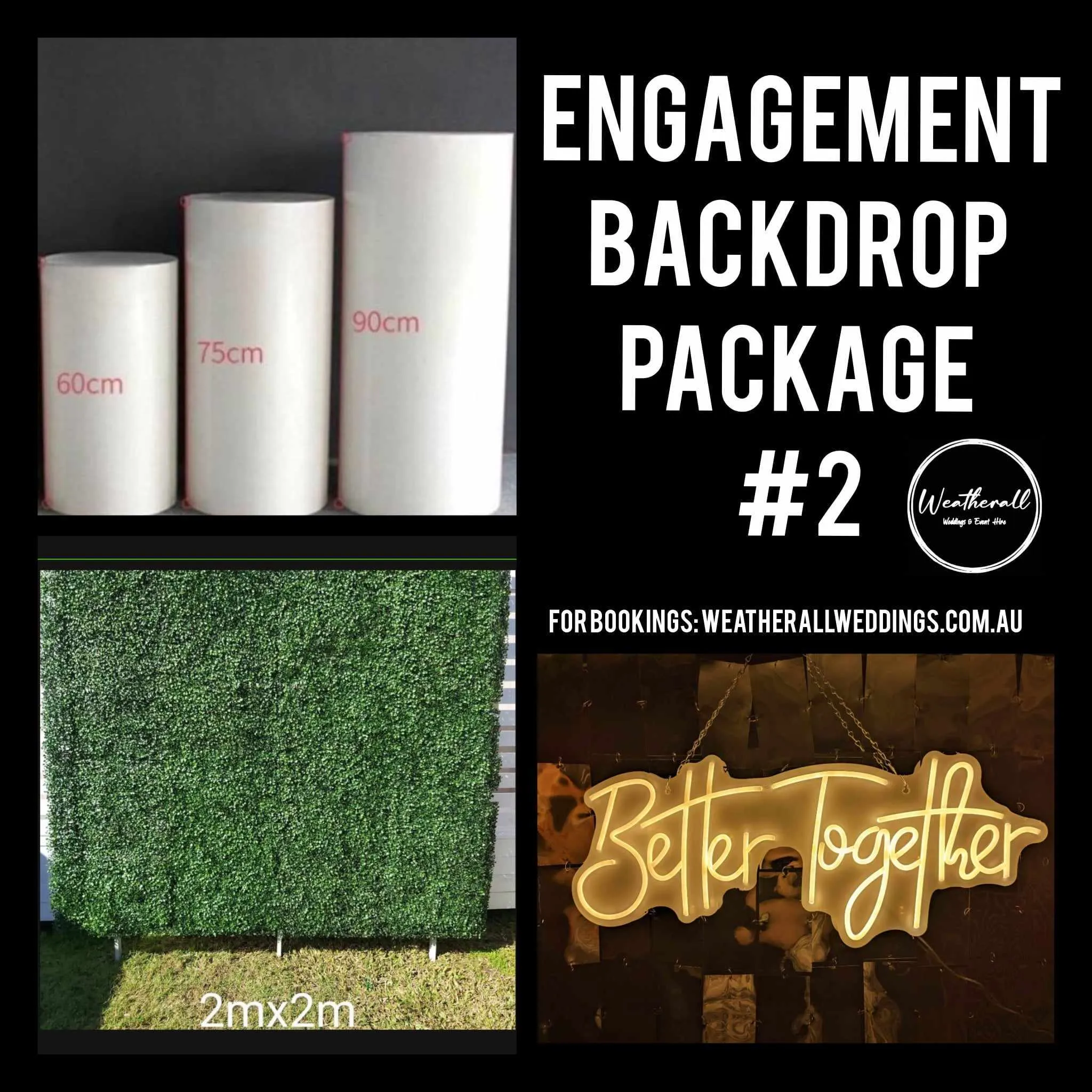 Engagement Party Photo Backdrop Package  #2