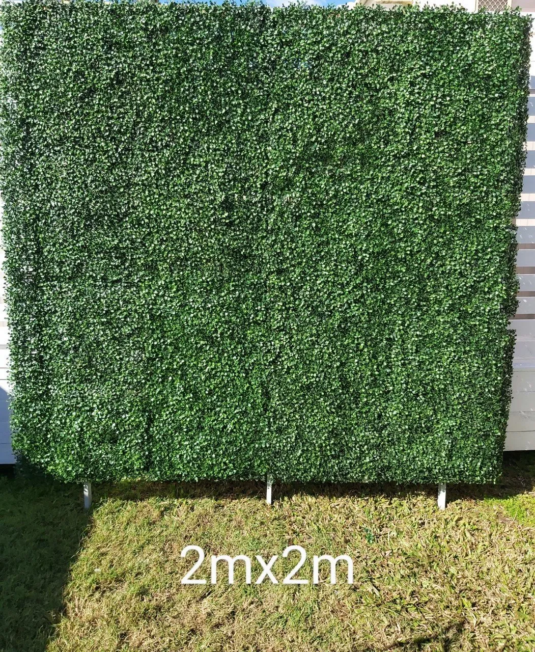 Grass Walls