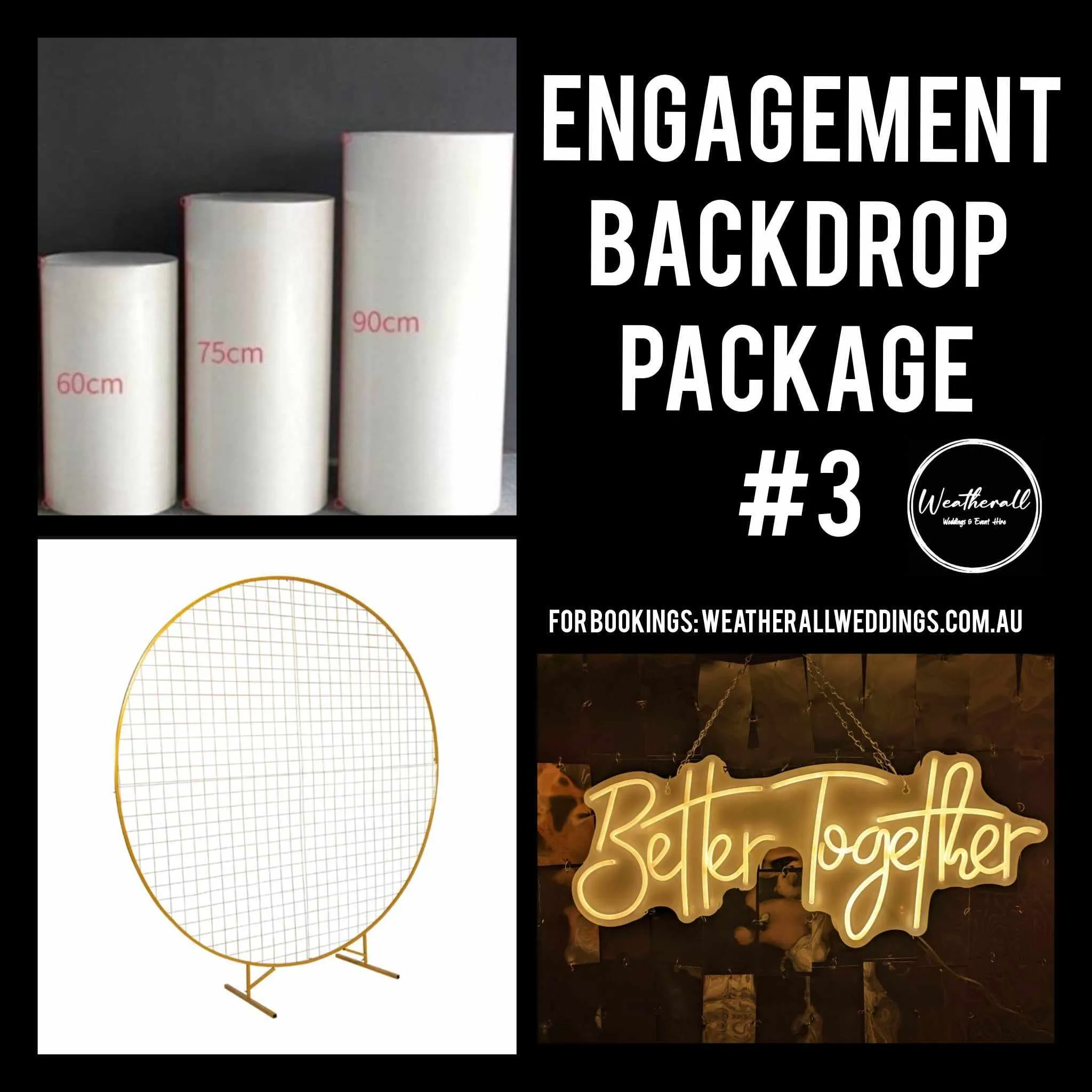 Engagement Party Photo Backdrop Package #3