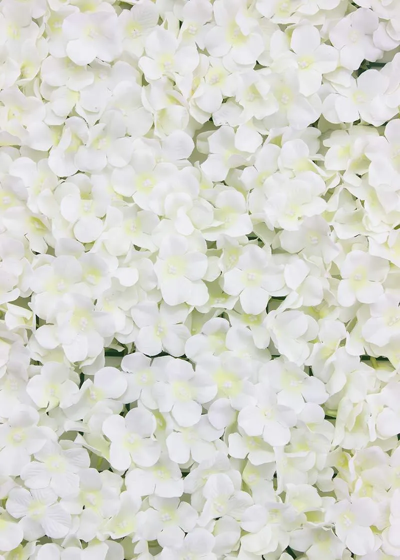 White Hydrangea Backdrop