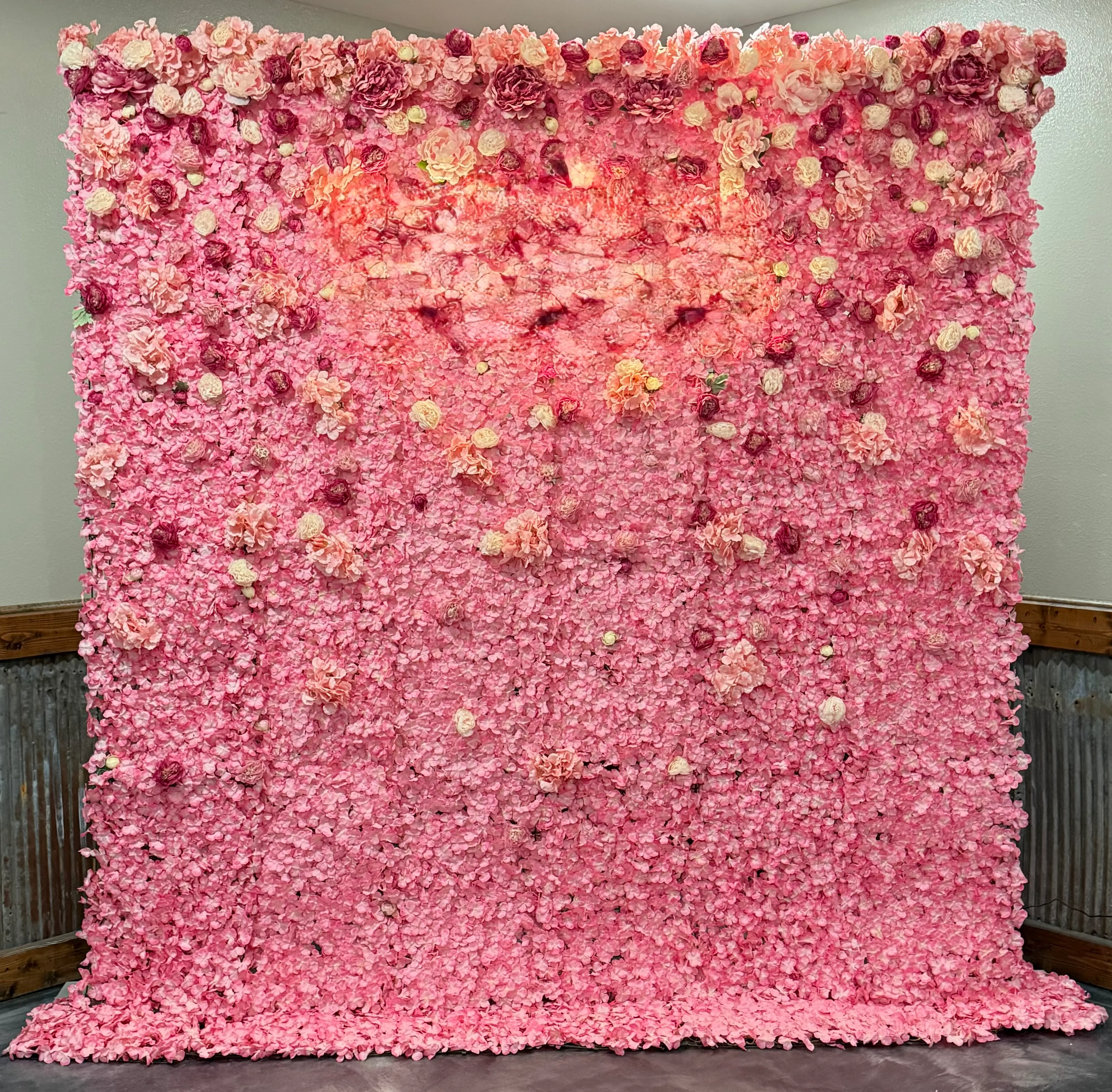 Morgan Pink Backdrop