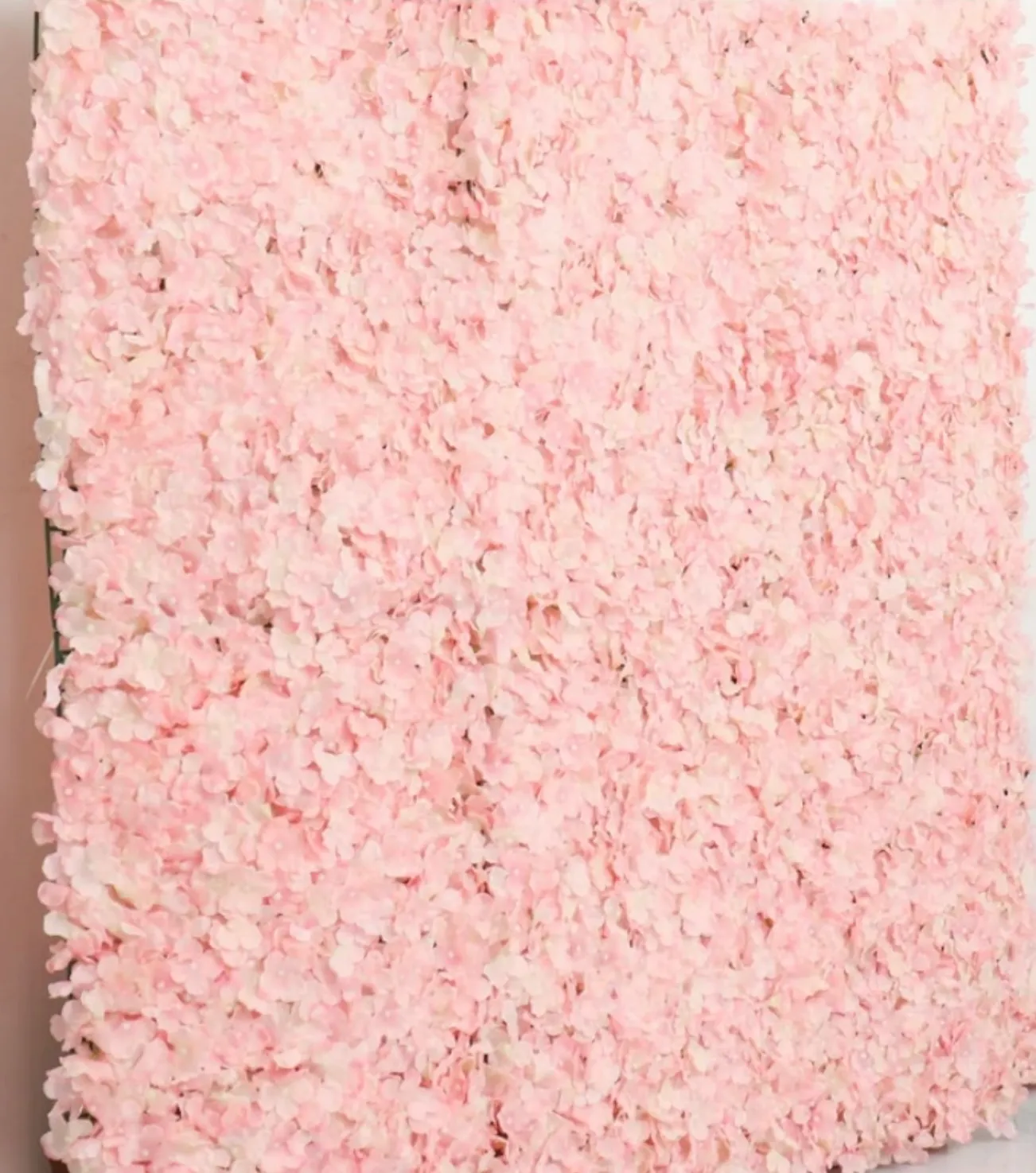 Pink Hydrangea Backdrop