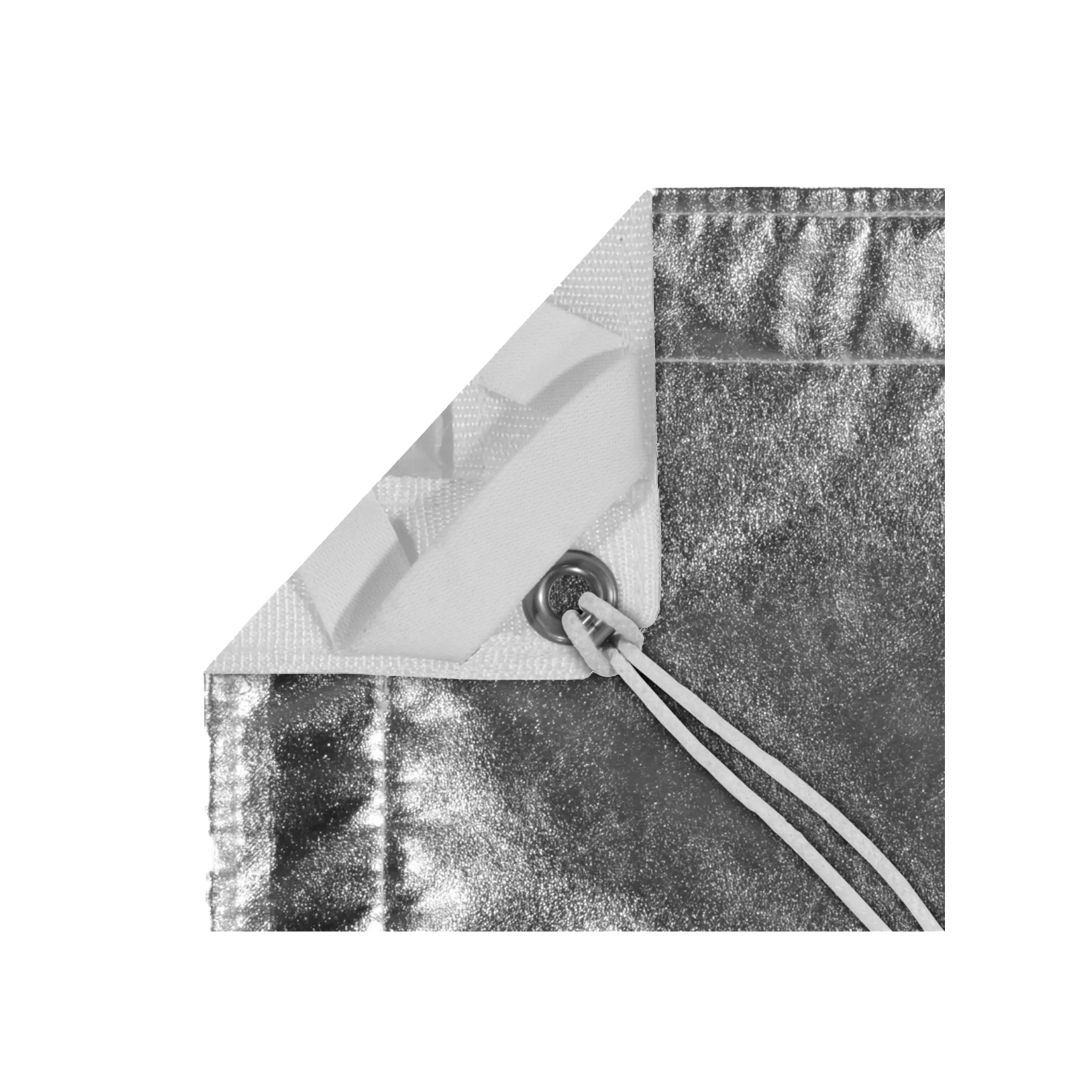 Silver Lame [opțiuni]