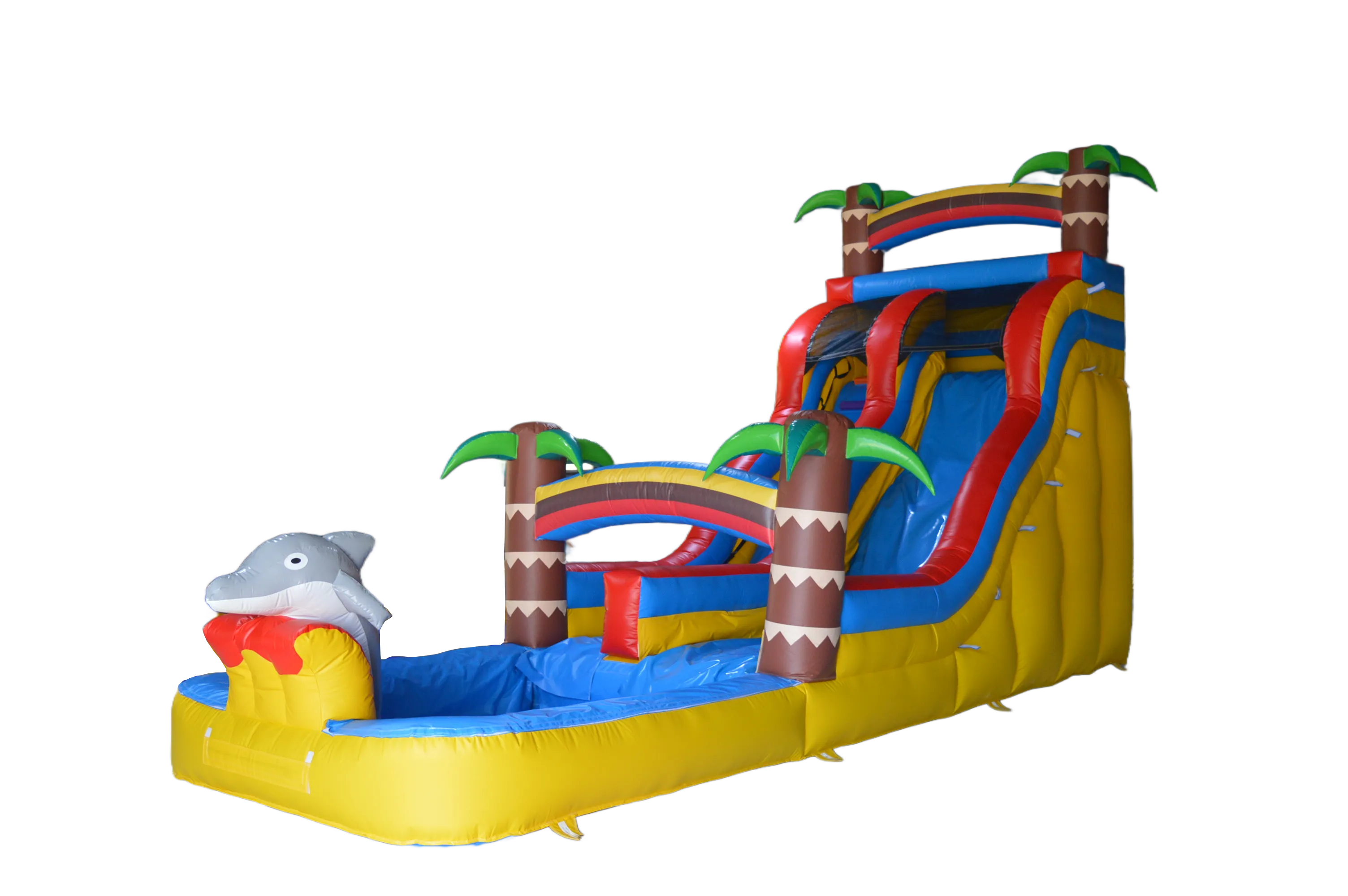 Dolphin Water Slide with Pool (30x10 ft)
