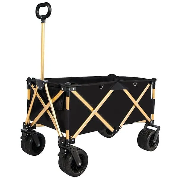 Beach Wagon