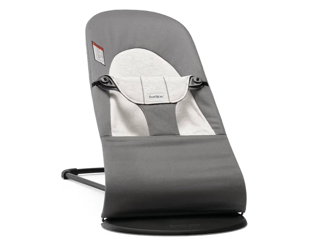 BabyBjorn Bouncer