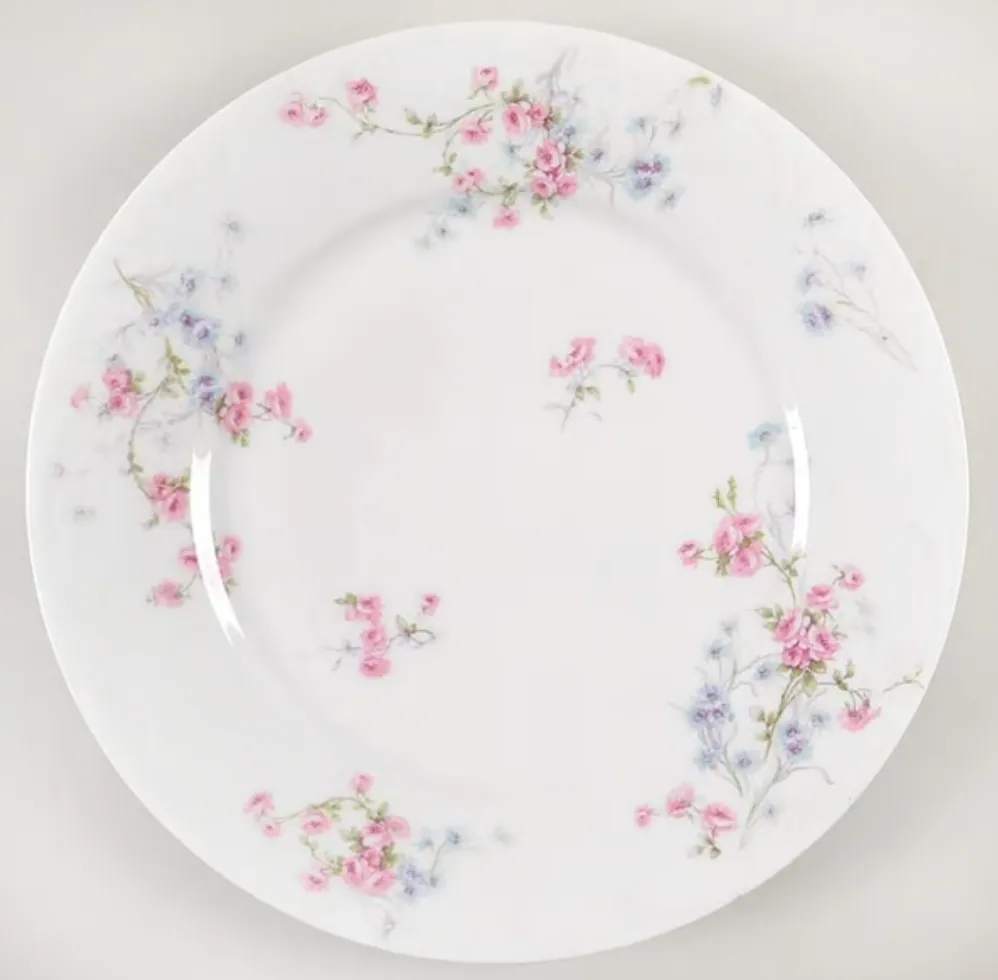 Theodore Haviland-Schleiger 309-5