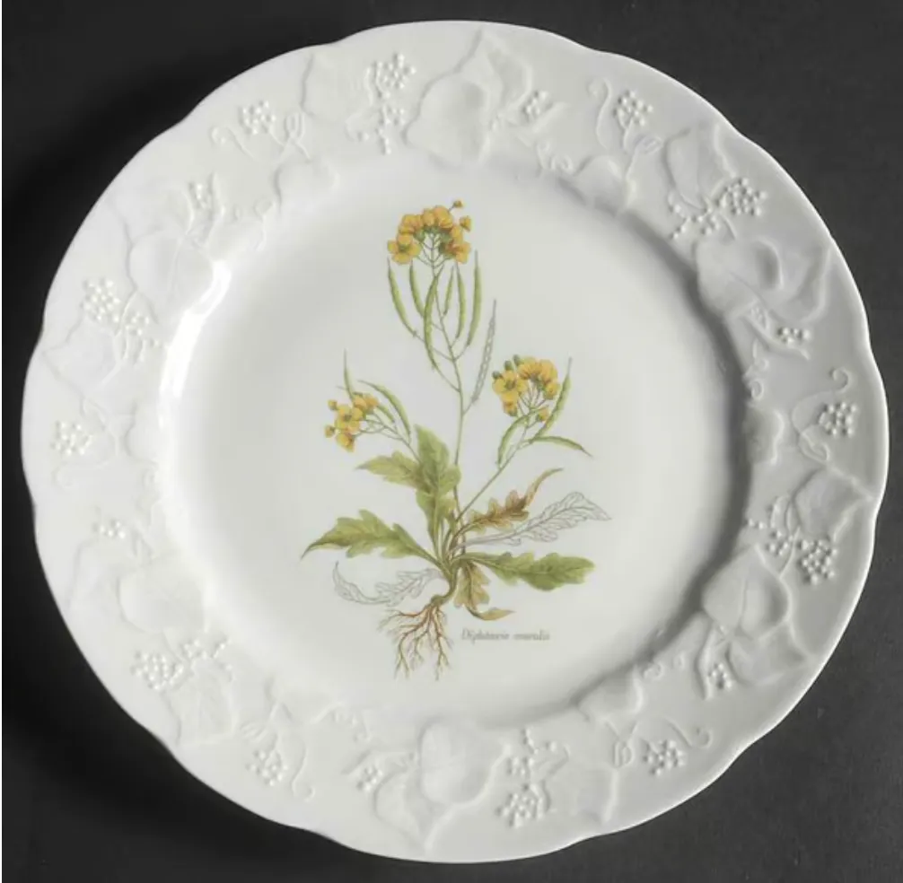 Dansk Ivy-Diplotaxis