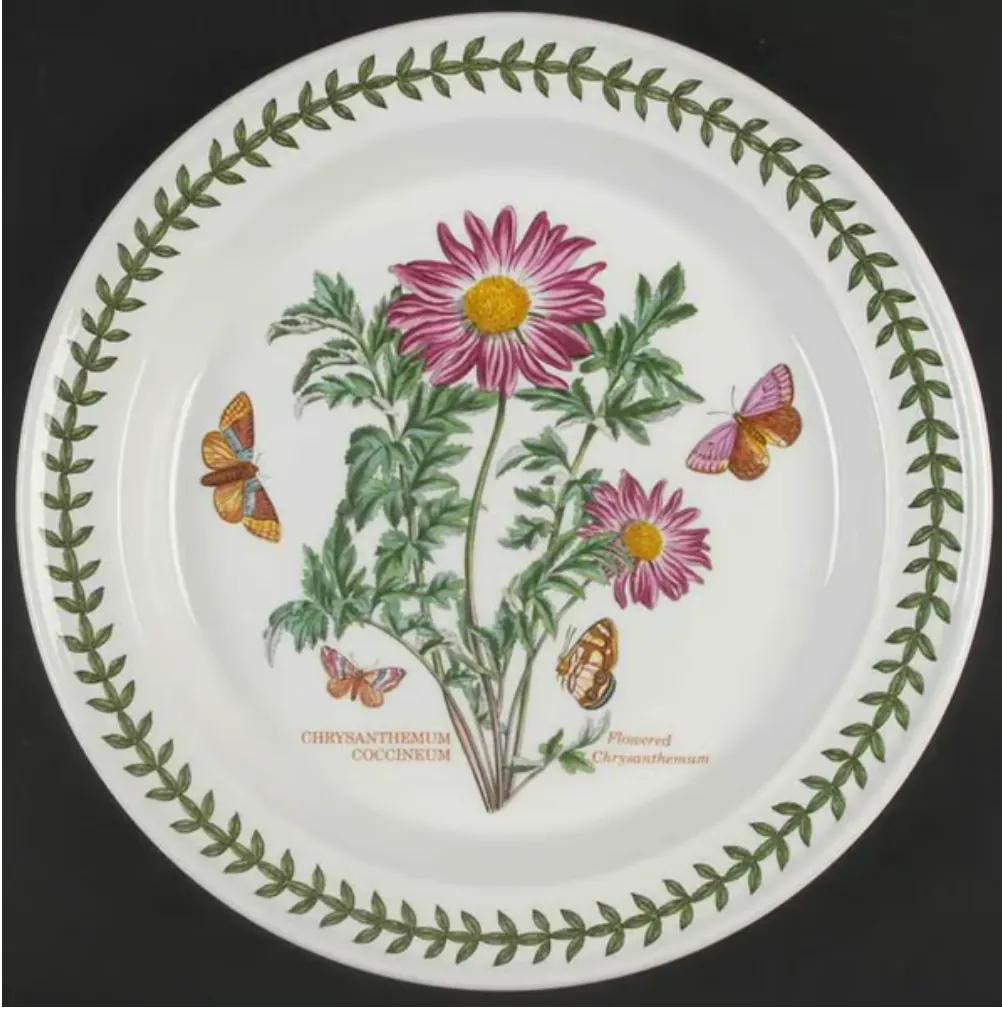 Portmeirion-Flowered Chrysanthemum