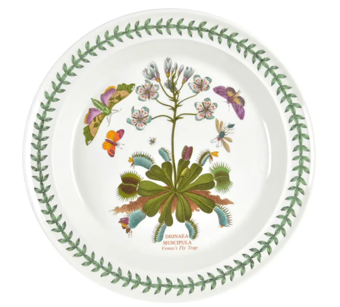 Portmeirion-Venus's Fly Trap
