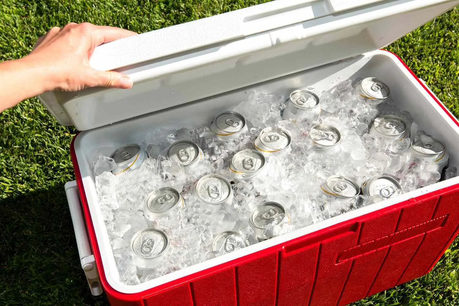 Cooler Of Ice