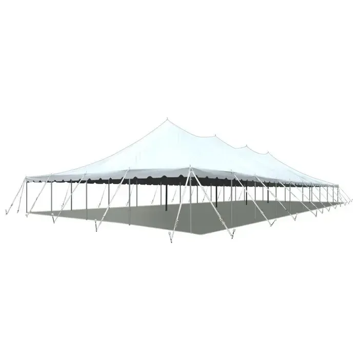 Tent- 40 x 100
