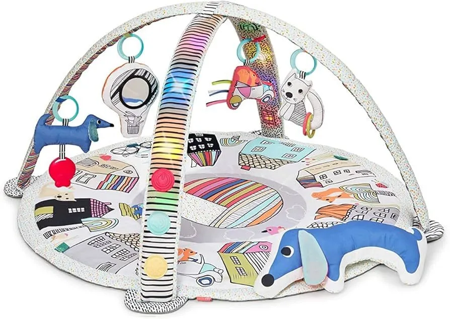 Skip Hop Vibrant Village Gym Subscription