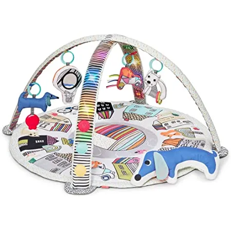 Skip Hop Vibrant Village Activity Gym