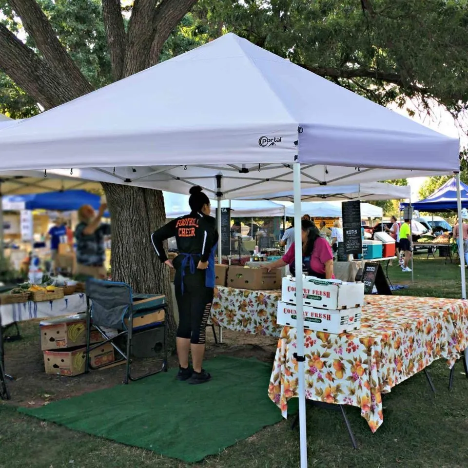 10 x 10 Canopy tent - Fire Rated