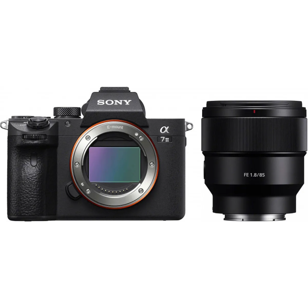 Camera & Lenses