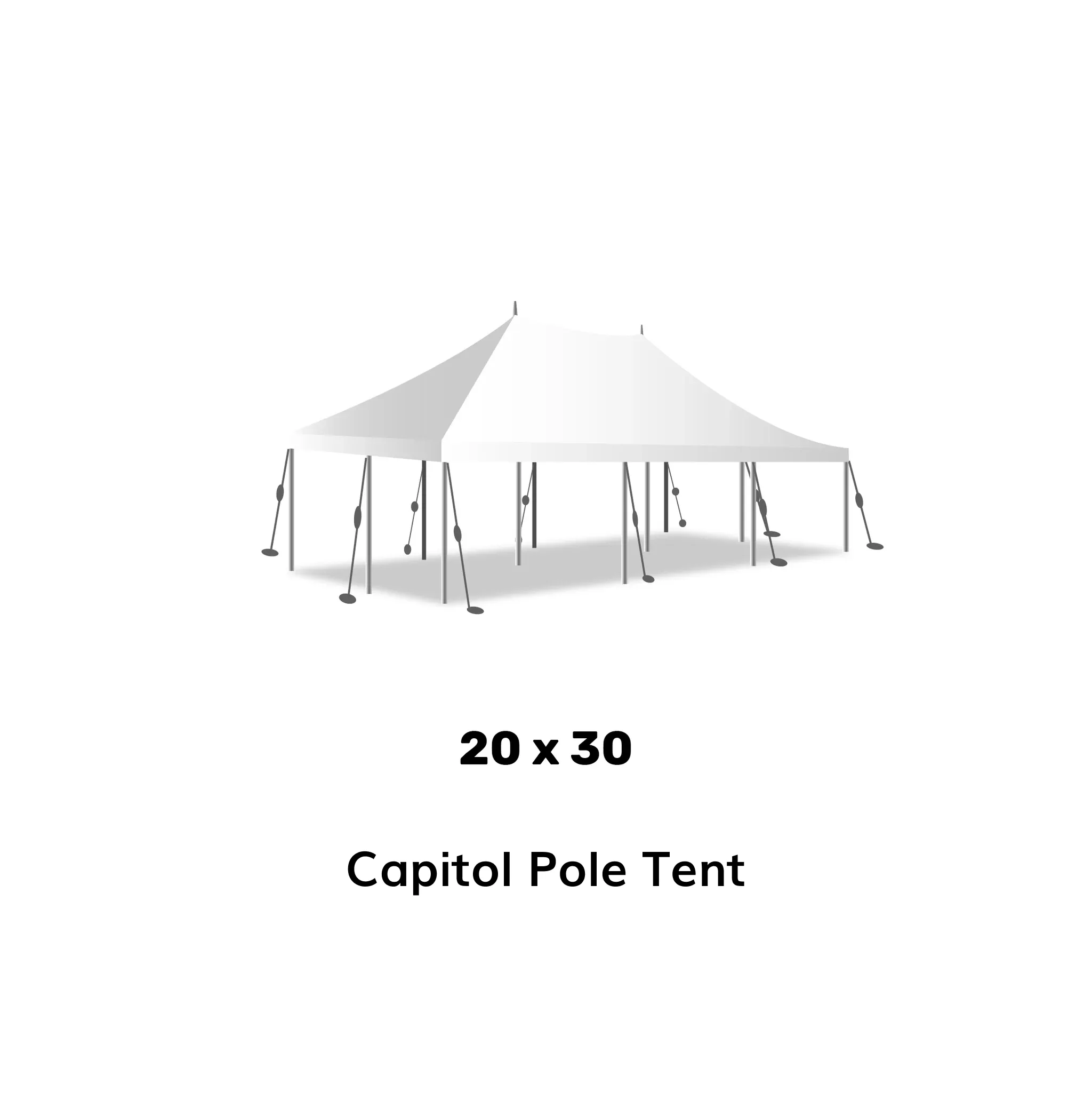 Canopy Tents 20x30 with Setup