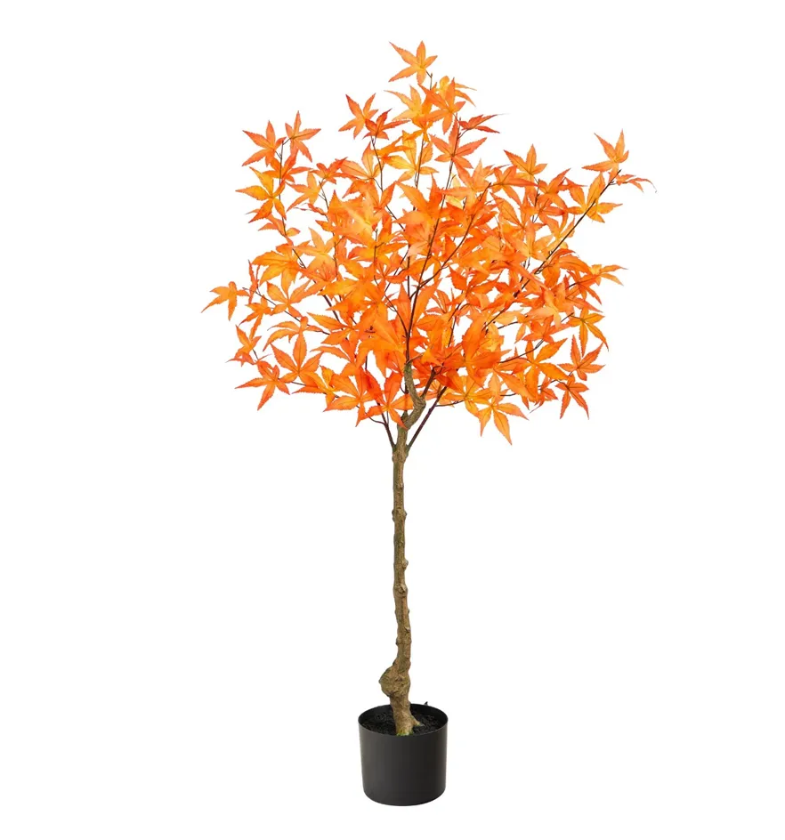 4' Autumn Maple Silk Tree