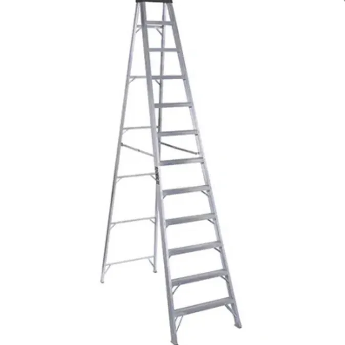 12 Ft Ladder