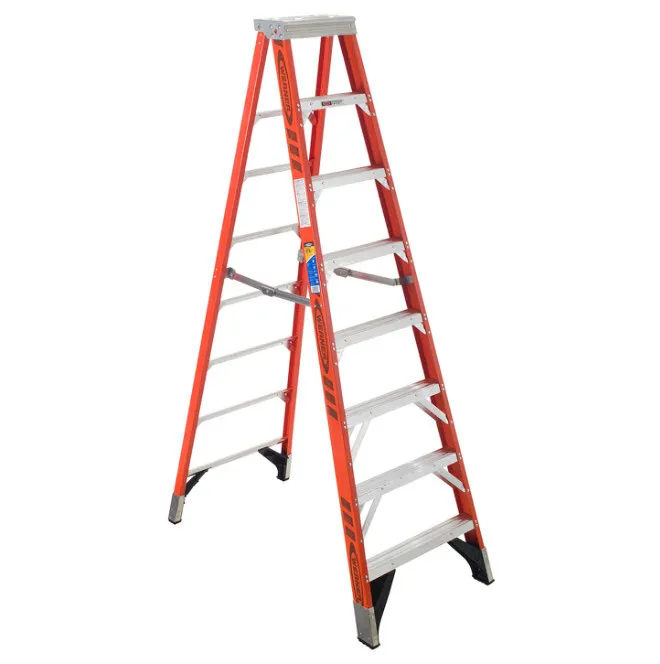 10 Ft Ladder