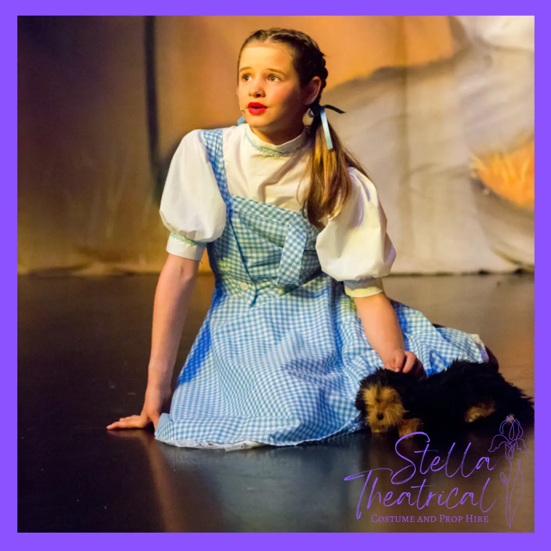 Dorothy Gingham Dress Costume