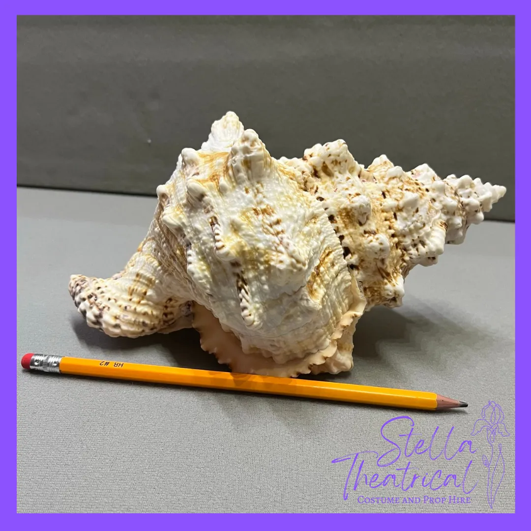 Large Light Up Conch Shell