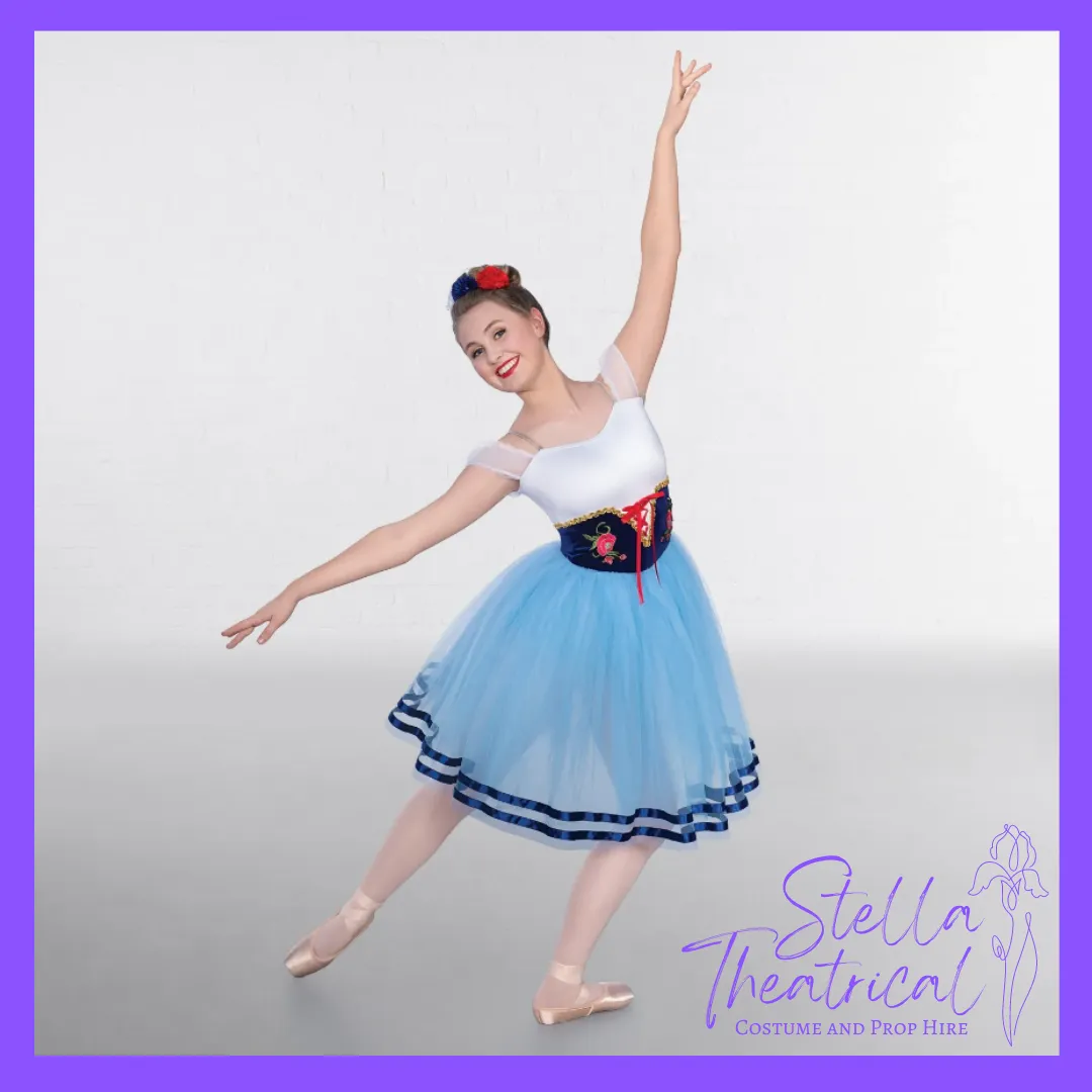 Corseted Romantic Tutu