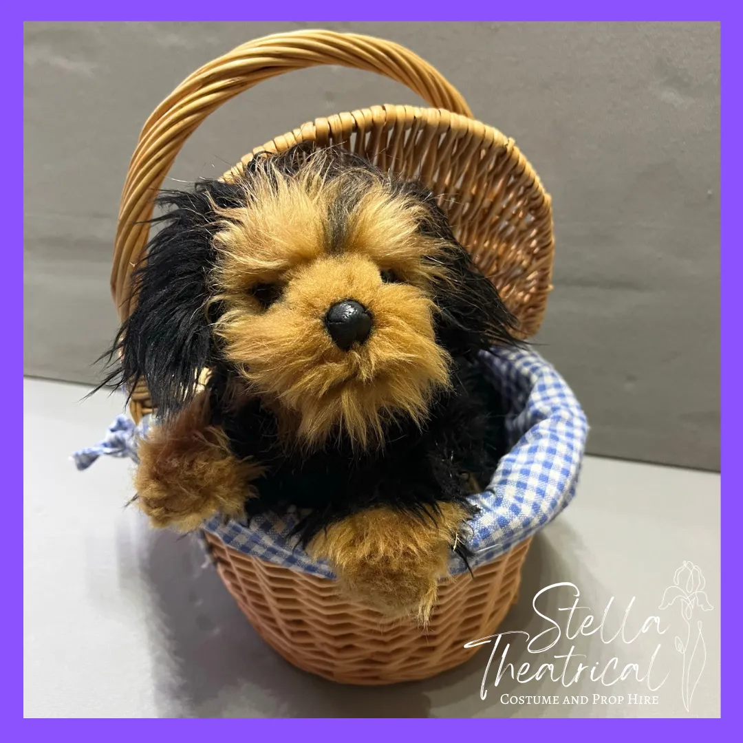 Toto Dog + Basket