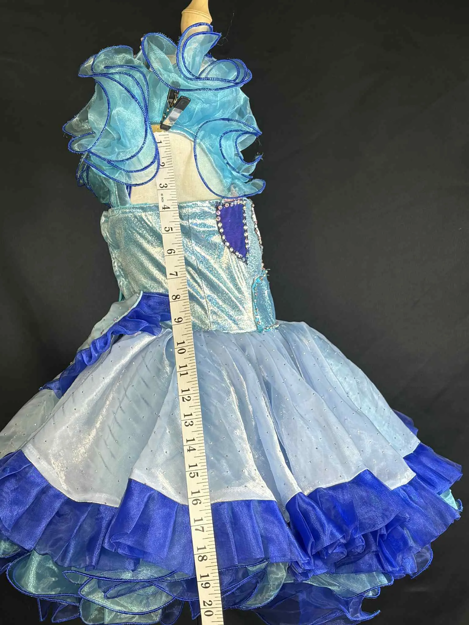 #161 4T-5T Bluey Dress Rental 