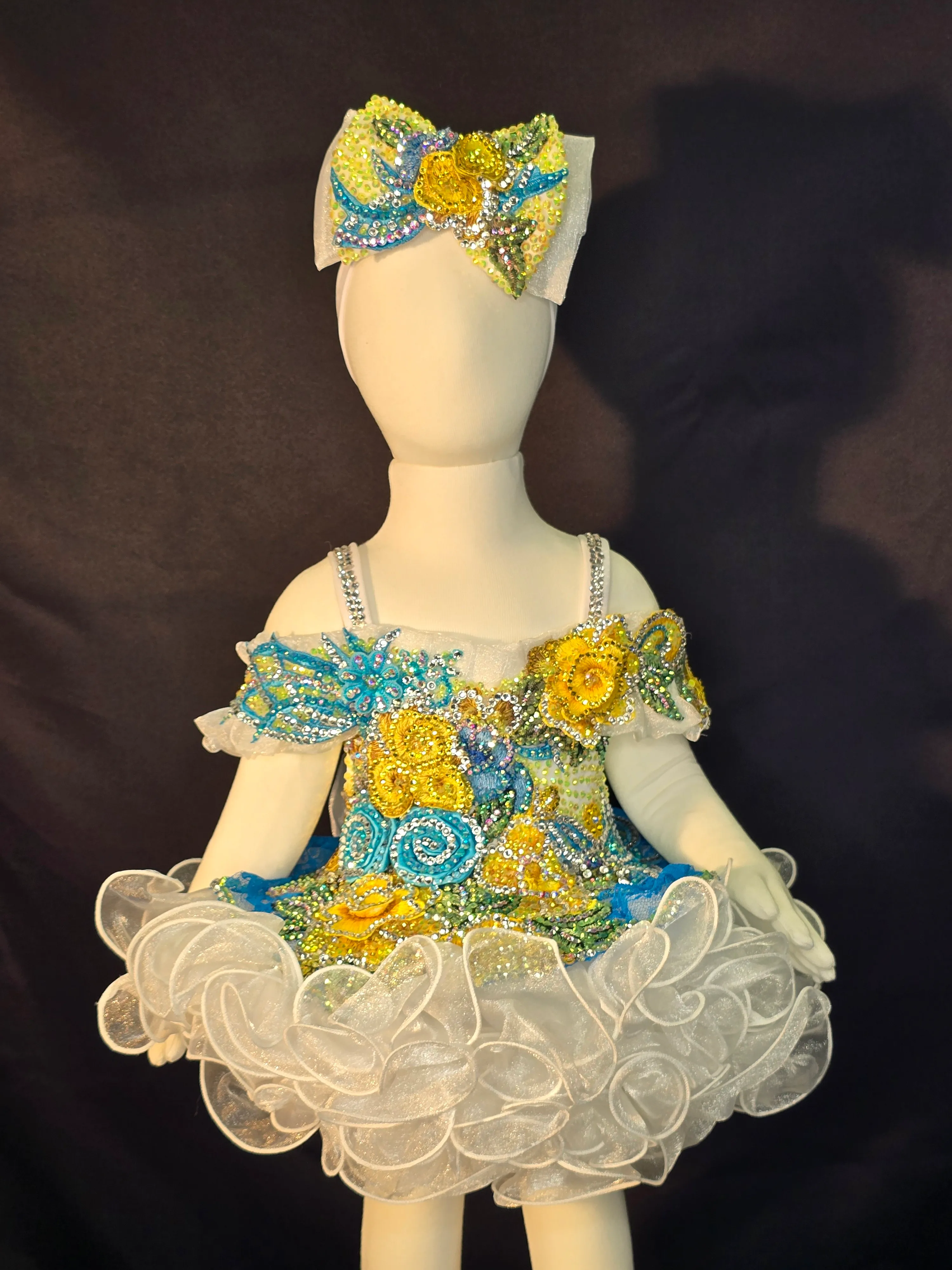 6M-2T Cupcake Dress Rental #22