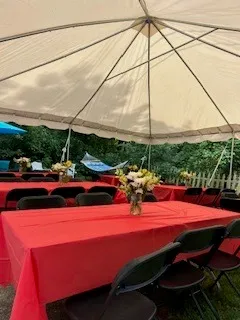 Graduation Party Essential