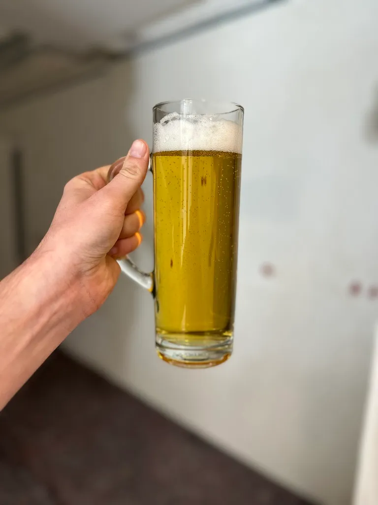 Bierkrug / Bier Seidel / Bier Glas 24 Stück