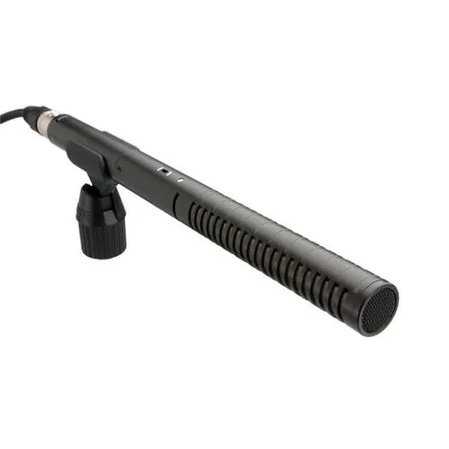 Micro RØDE NTG 2