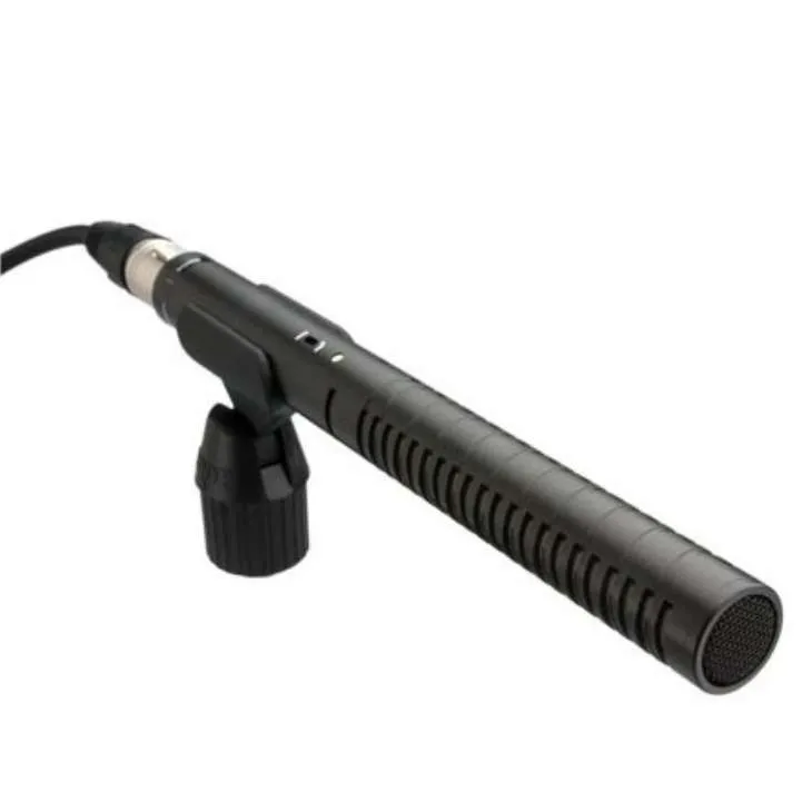 Micro RØDE NTG 1