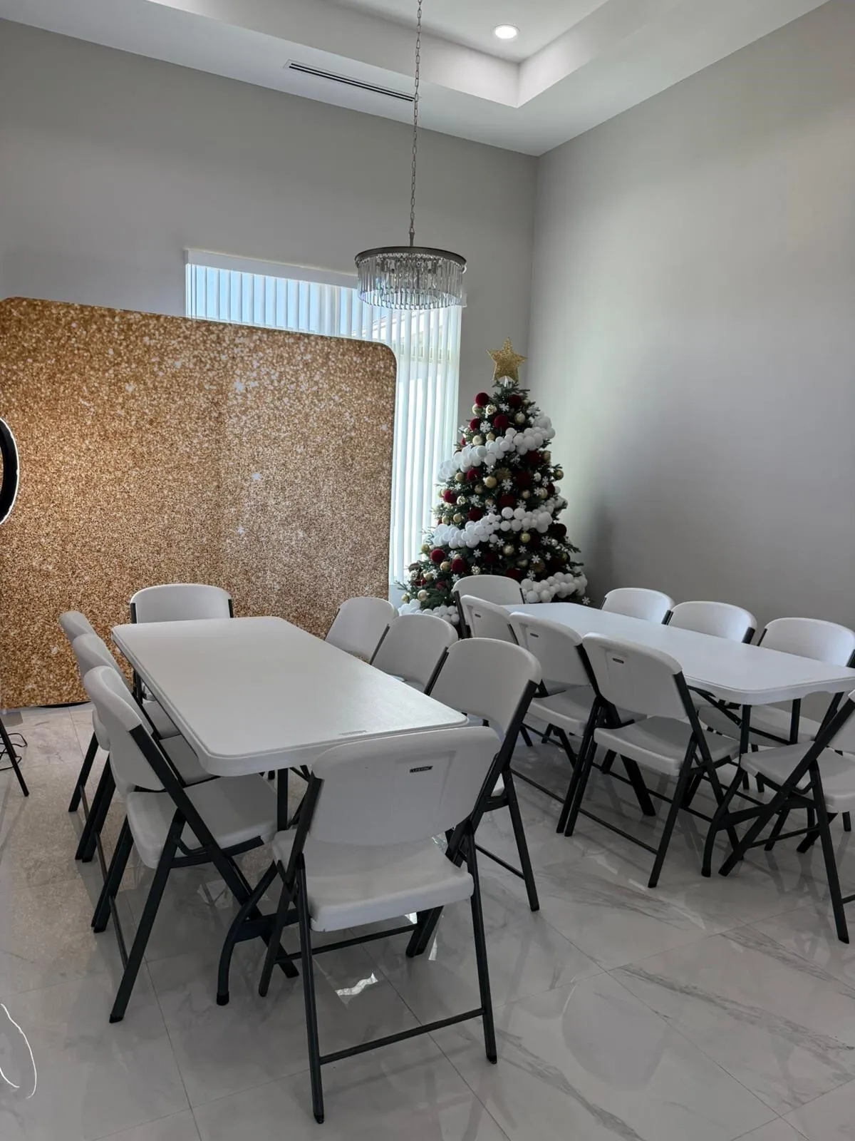 1 6' Rectangle Tabel and 8 Chairs