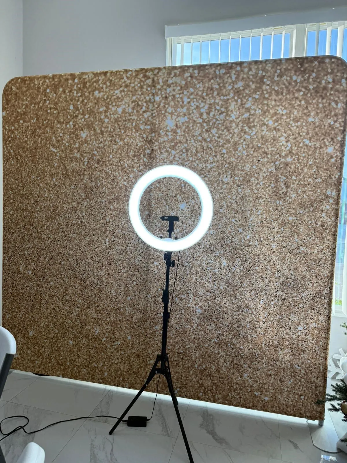 Ring Light and Back Drop 