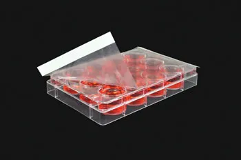 Breathe-Easy Div Bio