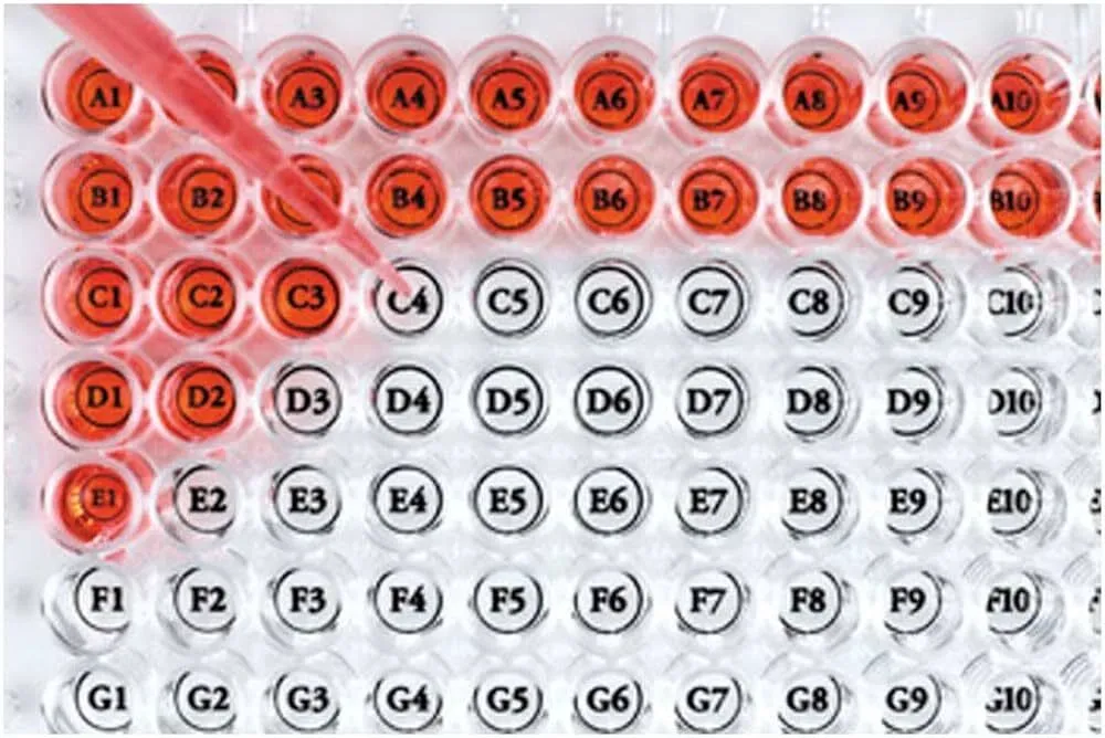 Well Orienter WELL-1000