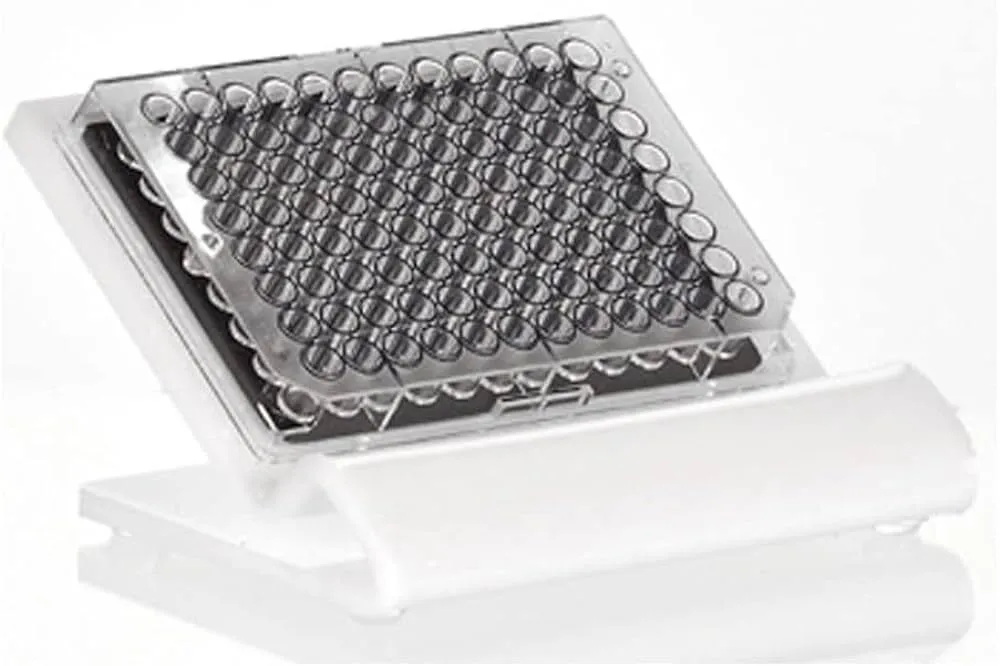 Well Plate Stand WPST-1000