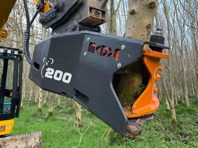 Boomknipschaar Koala200