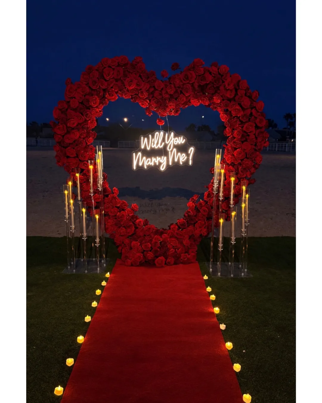 Marriage Proposal - starting at $375