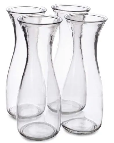 Carafe Style Glass Vases - Set of 4