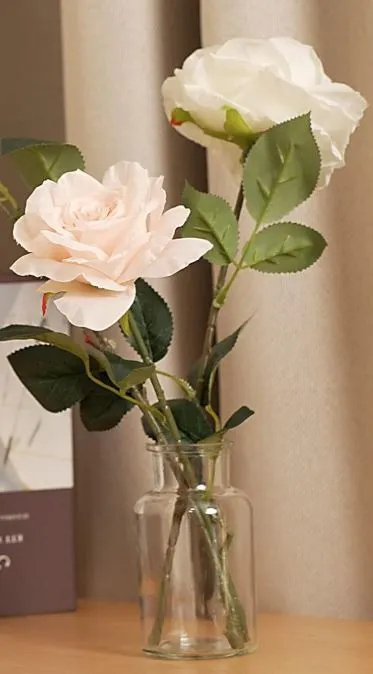 Plain Glass Bud Vases - Set of 6