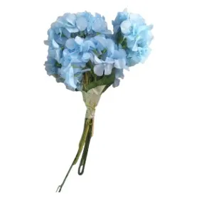 Light Blue Hydrengea